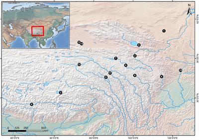 Phylogenetic relationship and taxonomic status of Gymnocypris eckloni (Schizothoracinae) based on specific locus amplified fragments sequencing